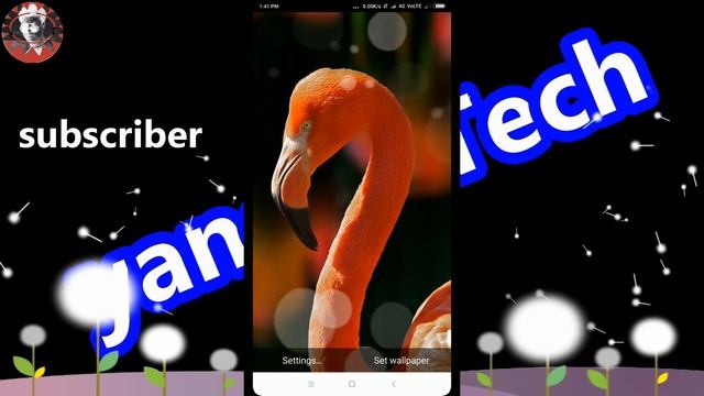 Pixel 4D live wallpaper android app смотреть онлайн