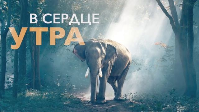 Утренняя медитация для идеального дня | 10 минут настроя и гармонии смотреть онлайн