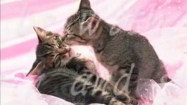 Hotmail niltwistersantos@hotmail com Windows Live смотреть онлайн