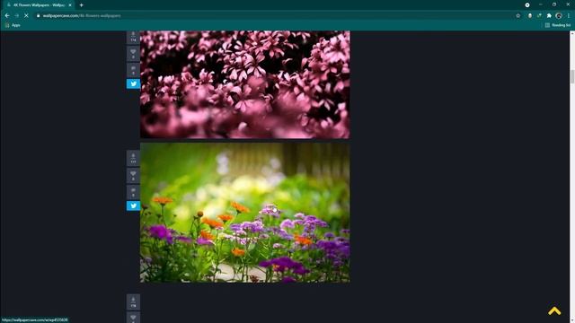 How To Dowload 4K 8K Wallpaper For Android / Computer -FREE !! 🔥 🔥 🔥 🔥 смотреть онлайн