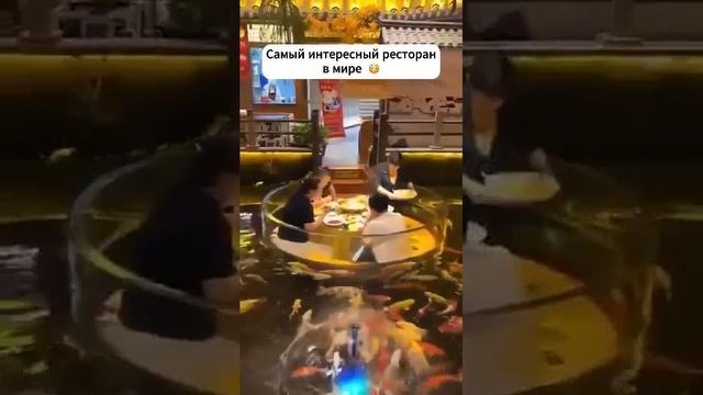 Клип @video_prikolys (3) смотреть онлайн