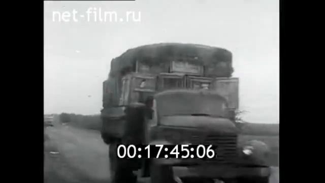 1963г. совхоз Висловский. хутор Вислый Семикаракорский район Ростовская обл. смотреть онлайн