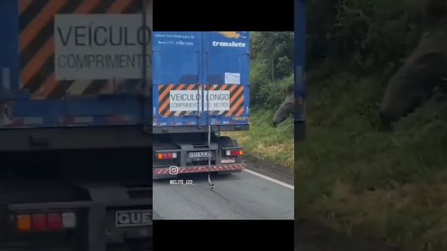 QUE ABSURDO! #roubando #pneu #amocaminhao смотреть онлайн