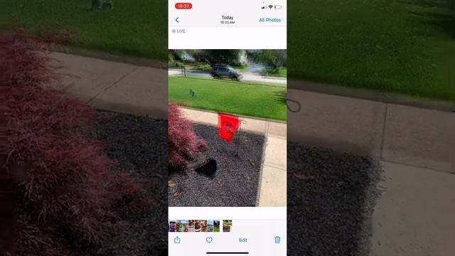 How to see a Live Photo on your lockscreen on an iPhone. смотреть онлайн
