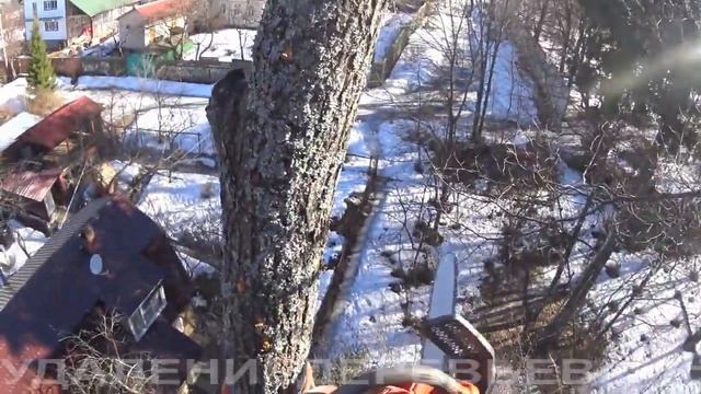Удаление части дерева в Дмитровском районе Мос.области. 15 марта 2015 года смотреть онлайн