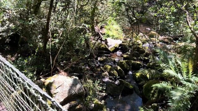South Africa 2023, Graskop, Gods Window, Pinnacle смотреть онлайн
