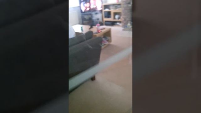 lily may has a bad day смотреть онлайн