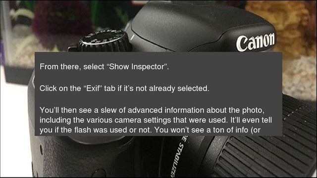 How to See an Image’s EXIF Data in Windows and macOS смотреть онлайн