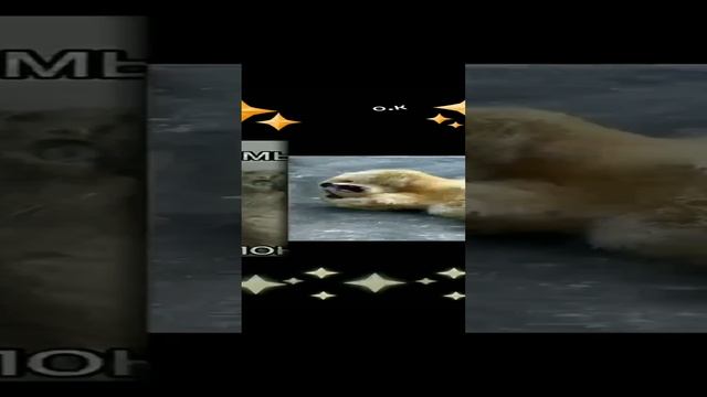 #Ё...МОЁ.ЗАВТРА ОПЯТЬ НА РАБОТУ смотреть онлайн