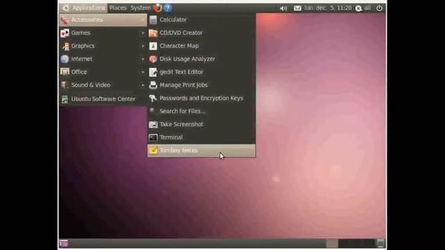 Ubuntu 10.04 LTSP en Tunisie, installation et configuration смотреть онлайн