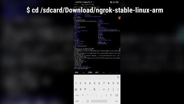 How to install ngrok in termux смотреть онлайн