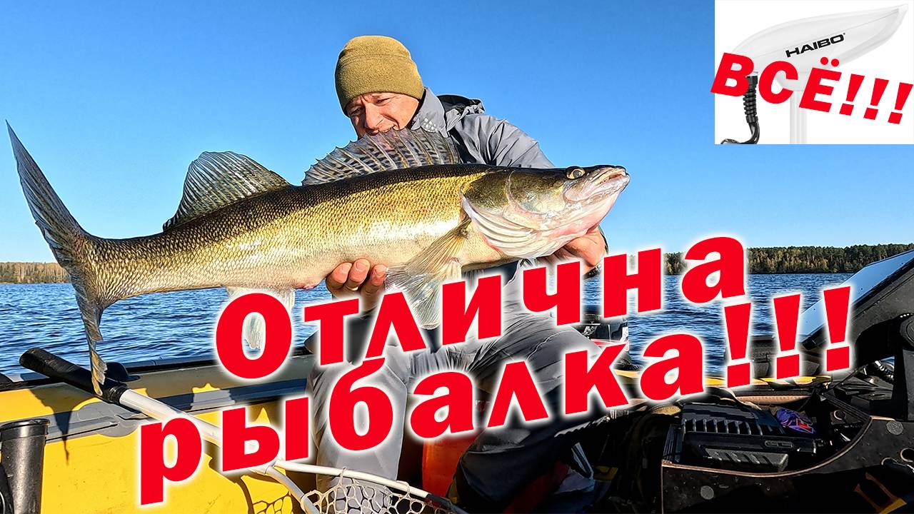 ОСЕННИЙ КЛЁВ СУДАКА!!! МОНСТРА НЕ ПРОСЁК..... УСТАНОВКА И КАЛЛИБРОВКА Minn Kota Terrova!!! смотреть онлайн