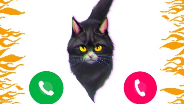 Apple best ringtone iPhone 13 Pro max 1 cat🍎#iphone смотреть онлайн
