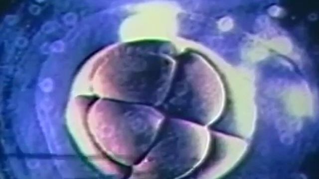 The Science Of Cymatics Documentary