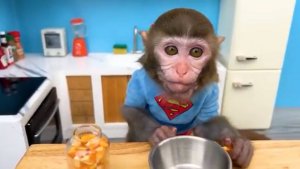 Обезьянка Беби  играет с утятами в бассейне🙉