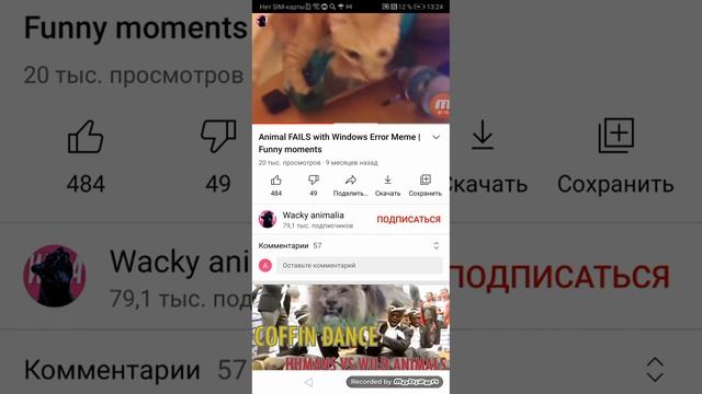 pets Falls error Windows meme смотреть онлайн