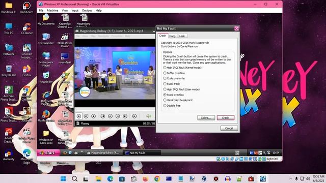 Windows XP BSOD 1541 (2023) смотреть онлайн