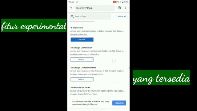 Chrome Flags, Chrome Experimental Features