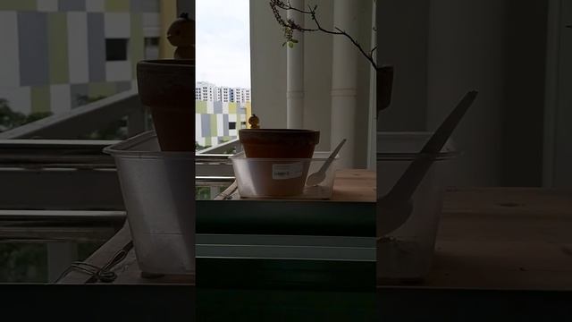 Pause. Hover. Breathe. смотреть онлайн