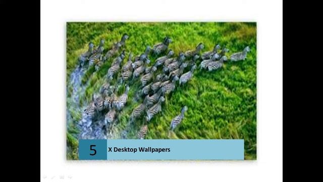 High Definition X Desktop Wallpapers смотреть онлайн