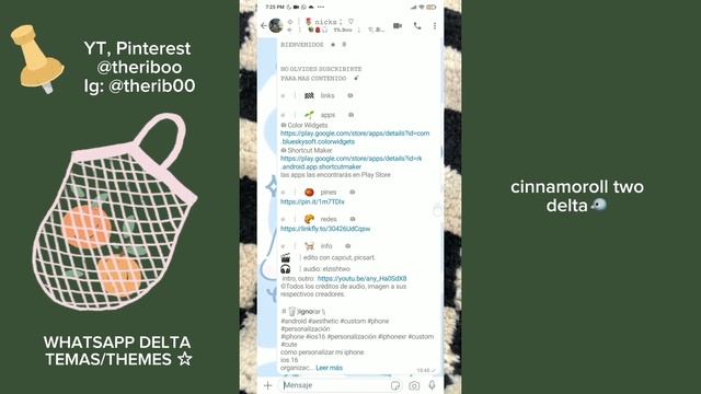 WhatsApp Delta Themes | Temas 2023 | @theriboo 🧼🧴 смотреть онлайн