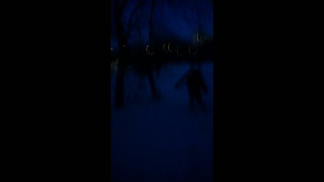 Заснято на камеру не понятное существо. 2015 год. Свердловск.