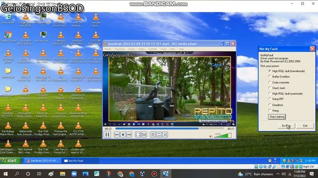 Pepito Manaloto Screaming has BSOD VM (Windows XP) смотреть онлайн