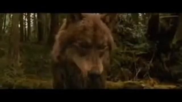 Волки клип смотреть онлайн