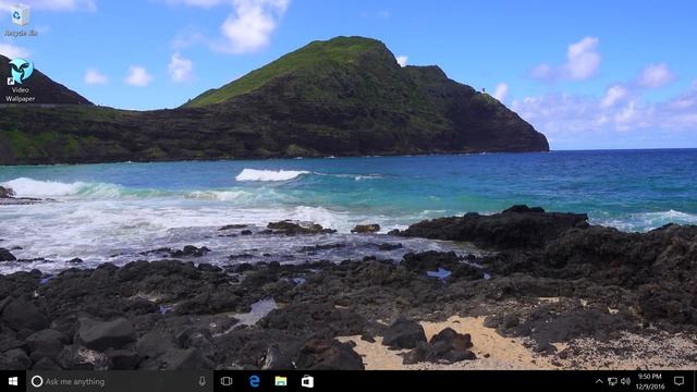 Video Wallpaper for Windows 11, 10, 8.1 смотреть онлайн