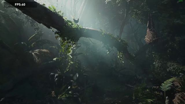 Shadow of the Tomb Raider Benchmark Windows 11 DirectX 11 AMD FidelityFX CAS On смотреть онлайн