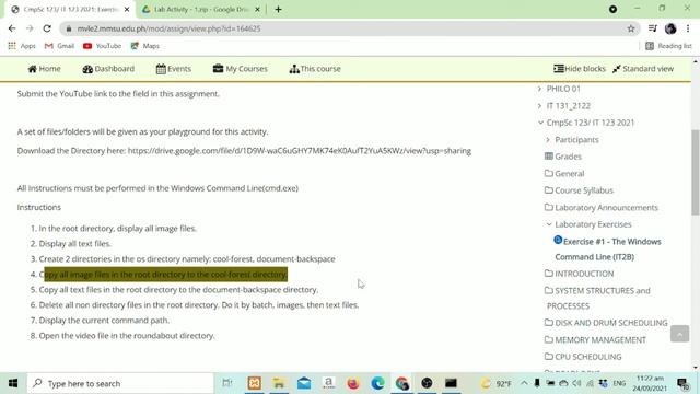 Laboratory Exercise #1 - The Windows Command Line (IT 123) смотреть онлайн