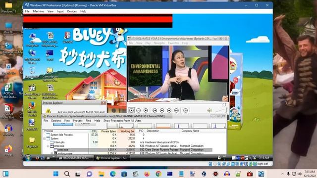 Windows XP BSOD 210 (2022) смотреть онлайн