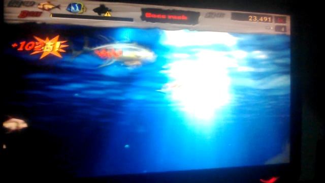 Feeding Frenzy 2 mod boss rush level:john dory смотреть онлайн