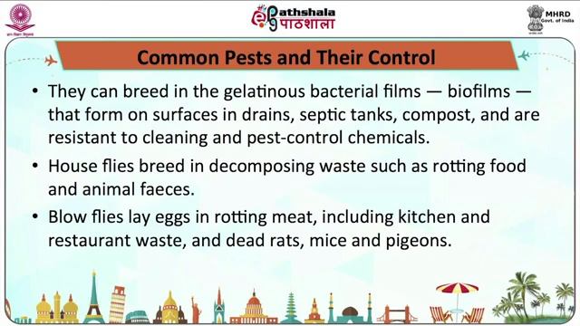M-23. Pest Control смотреть онлайн