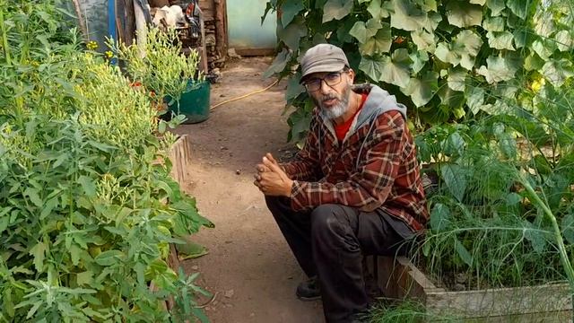 Water 💦 so much more to learn about it with out it nothing lives смотреть онлайн