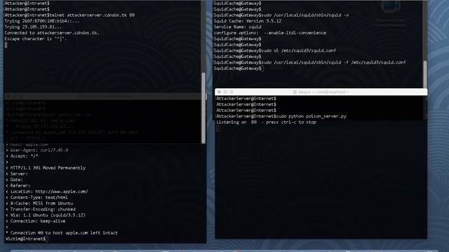 Host of Troubles: General cache poisoning attack against Squid смотреть онлайн