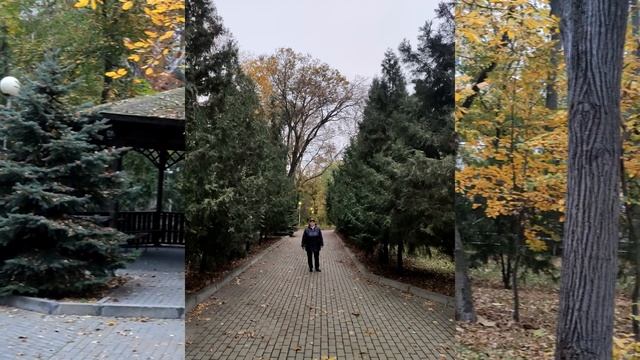 Ростовская осень Октябрь 2019