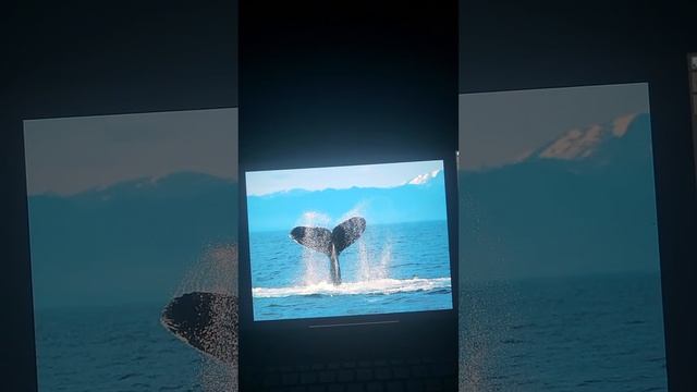 Running windows vista on virtual box смотреть онлайн