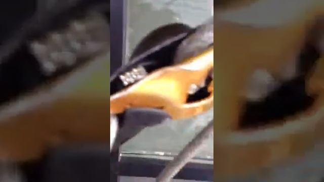 http://www.totalserviceny.com/window-cleaning/commercial смотреть онлайн