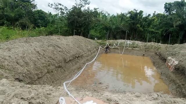 How to net earthen pond and the purpose of netting ponds || catfish farming in Nigeria смотреть онлайн