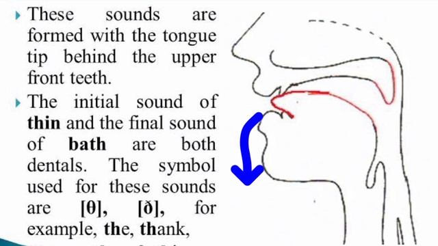 Production of dental sounds in short #speech #speechtherapy #specialeducation смотреть онлайн