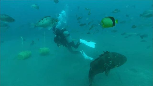 GoPro Scuba dive Testshot at Ito смотреть онлайн