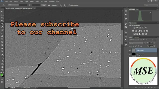 The Photoshop & Microscopic Images: Image size, Crop tool, & Pen tool смотреть онлайн