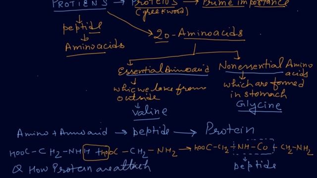 Protein and Its Type | Class 12 Chemistry Biomolecules смотреть онлайн
