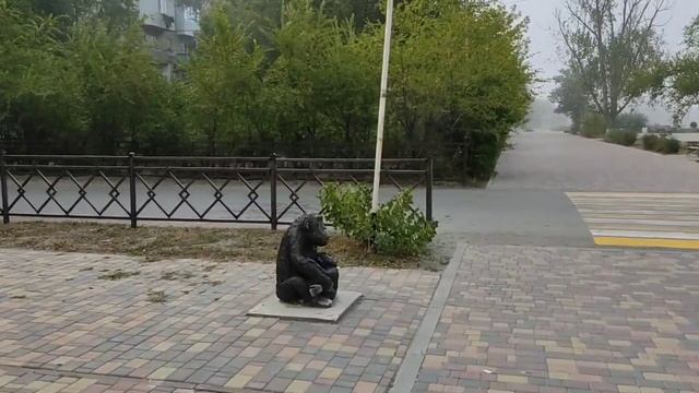 Ставропольский край, Нефтекумский район. смотреть онлайн