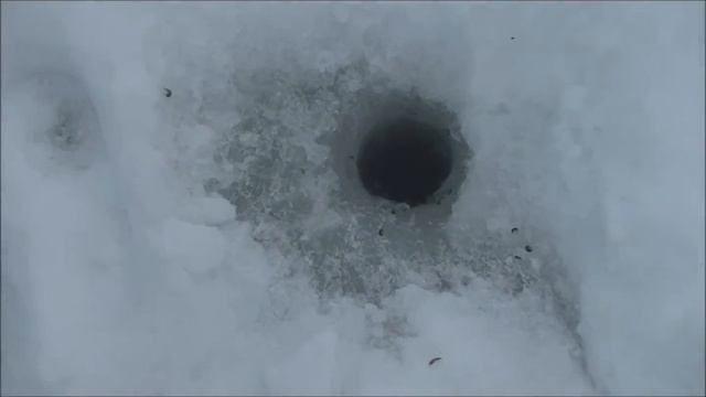 Таёжное зимовье 10 03 2016г смотреть онлайн