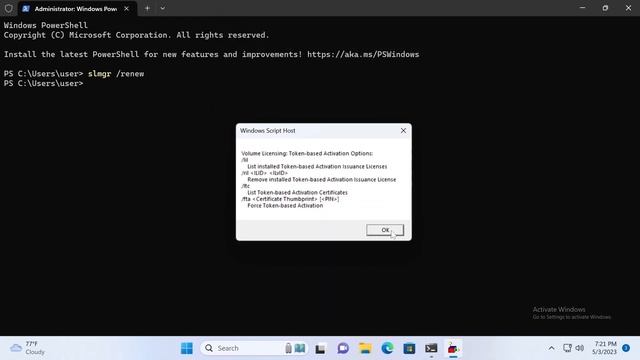 Remove Windows 11 Activation Watermark Permanently! смотреть онлайн
