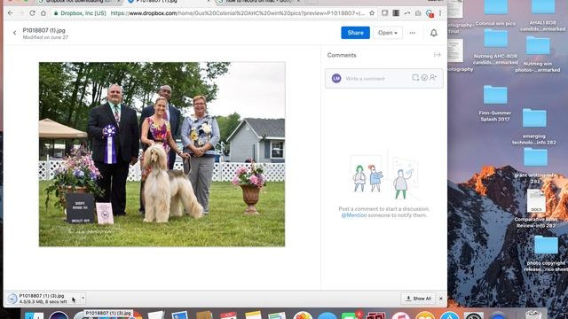 Dropbox download tutorial by llm photography смотреть онлайн