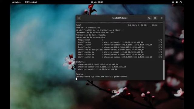 Comment installer et configurer fedora смотреть онлайн