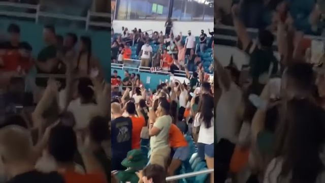 Gato cae al vacío el pleno partido de fútbol americano. смотреть онлайн